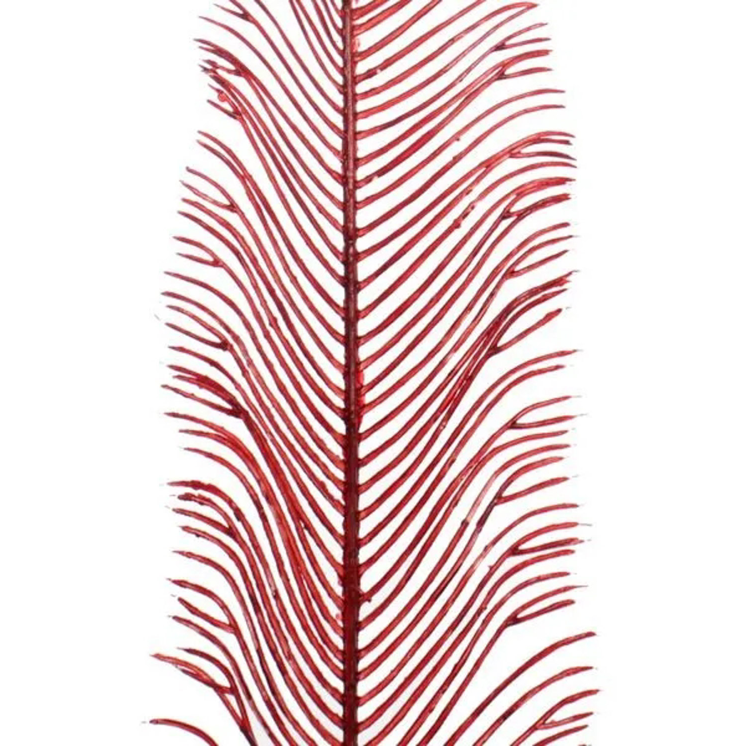 Ветка декоративная "Волшебное перо" 53 см, Красный Ветка декоративная "Волшебное перо" 53 см, Красный