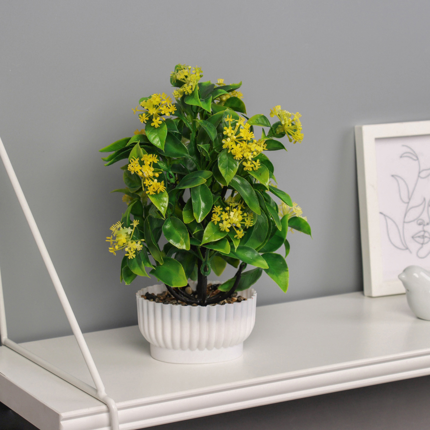 Бонсай в горшке «Хойя премиум», 10×23 см, МИКС