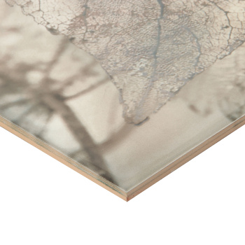 Плитка декоративная Intercerama Magia, 500х230 мм, серый