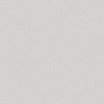 яяяОбои флиз "WallSecret Comfort" 8723-04  10*1,06м *6