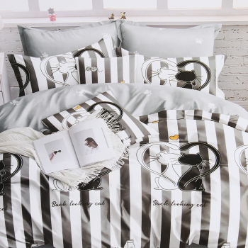 Постельное белье 2сп поплин премиум Текстура 21206 нав.70*70 см-2 шт прос 215*200 *1