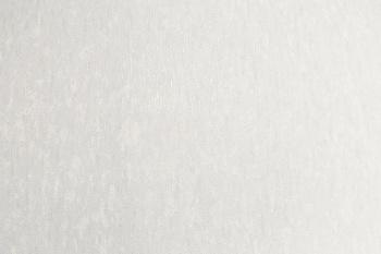 Обои флиз "Палитра" 10 ВВ ГТ PL72023-19 1,06*10м *1/6