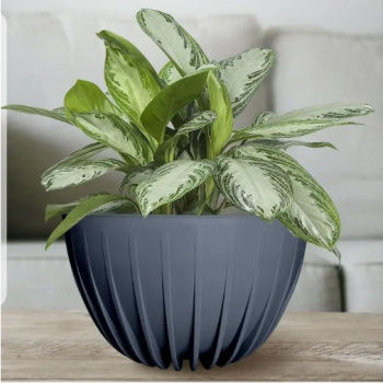 Кашпо пластм. "Сигма"  7,9л d верха 300мм h160мм со вставкой Анстрацит СИвкМ30-12 *1/5 Кашпо пластм. "Сигма"  7,9л d верха 300мм h160мм со вставкой Анстрацит СИвкМ30-12 *1/5