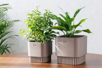 Кашпо пластм. "Бостон" 2,7л 153х153мм h147мм со вставкой Шоколад АМБ-2,7-04 ("VipSet") *1/10