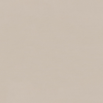 Обои флиз ED Euro Decor Stronghold (беж.) 7315-19 *6