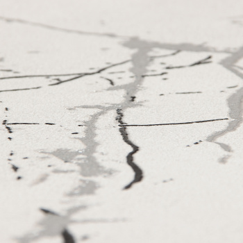 Обои  флиз Ateliero Rinaldi 285631 1.06*10м *6