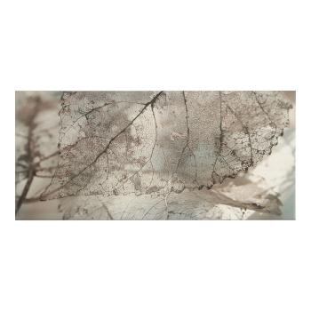 Плитка декоративная Intercerama Magia, 500х230 мм, серый