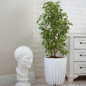 Кашпо пластм. "Сигма" 18л d верха 300мм h370мм со вставкой 10л Белый СИ30-10 *1 Кашпо пластм. "Сигма" 18л d верха 300мм h370мм со вставкой 10л Белый СИ30-10 *1