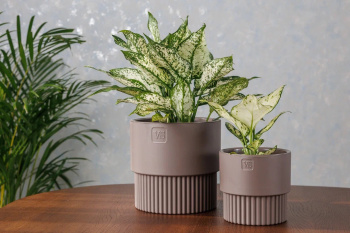 Кашпо пластм. "Бостон" 1,6л d верха 137мм h132мм со вставкой Шоколад АМБ-1,6-04 ("VipSet") *1/10