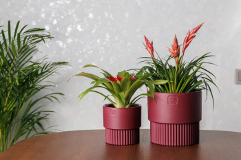 Кашпо пластм. "Бостон" 4,5л d верха 193мм h185мм со вставкой Бордо АМБ-4,5-19 ("VipSet") *1/6