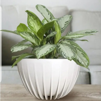 Кашпо пластм. "Сигма"  7,9л d верха 300мм h160мм со вставкой Белый СИвкМ30-00 *1/5 Кашпо пластм. "Сигма"  7,9л d верха 300мм h160мм со вставкой Белый СИвкМ30-00 *1/5